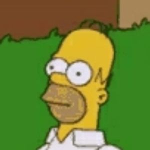 Meet your Posher, Darwin